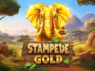 Stampede Gold screenshot